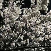 ヒメ日記 2026/04/01 11:04 投稿 夏帆 京都痴女性感フェチ倶楽部