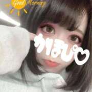 ヒメ日記 2026/04/10 07:34 投稿 夏帆 京都痴女性感フェチ倶楽部