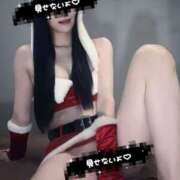 ヒメ日記 2025/12/25 14:41 投稿 白雪りの 響-HIBIKI-