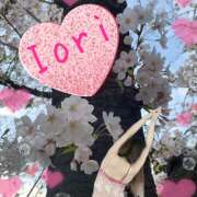 ヒメ日記 2025/04/01 11:35 投稿 篠宮いおり ワイフコレクション