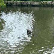 卯月ねる これがホントの亀さんの頭🐢 聖リッチ女学園