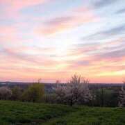 ヒメ日記 2025/04/05 16:35 投稿 石川こなつ DEEPS成田店