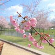 ヒメ日記 2025/05/13 11:35 投稿 石川こなつ DEEPS成田店