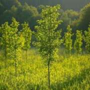 ヒメ日記 2025/05/24 14:25 投稿 石川こなつ DEEPS成田店