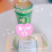 ヒメ日記 2025/05/29 11:59 投稿 新人くるみ☆ 熟女専門（ひびき）￥8000円24