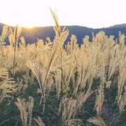 ヒメ日記 2025/11/23 08:42 投稿 なな 梅田アバンチュール