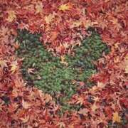 ヒメ日記 2025/11/24 08:42 投稿 なな 梅田アバンチュール