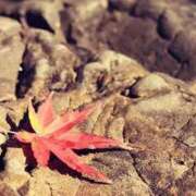 ヒメ日記 2025/11/27 08:43 投稿 なな 梅田アバンチュール