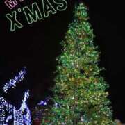 ヒメ日記 2025/12/18 08:41 投稿 なな 梅田アバンチュール