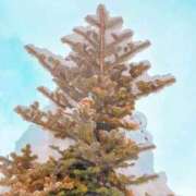 ヒメ日記 2025/12/18 18:32 投稿 なな 梅田アバンチュール