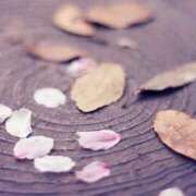 ヒメ日記 2026/01/25 08:49 投稿 なな 梅田アバンチュール