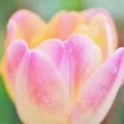 ヒメ日記 2026/03/02 08:32 投稿 なな 梅田アバンチュール