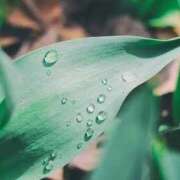 ヒメ日記 2026/03/03 08:42 投稿 なな 梅田アバンチュール