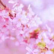 ヒメ日記 2026/03/20 08:42 投稿 なな 梅田アバンチュール