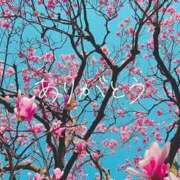 ヒメ日記 2026/03/29 18:32 投稿 なな 梅田アバンチュール