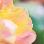 ヒメ日記 2026/03/31 08:43 投稿 なな 梅田アバンチュール