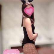 ヒメ日記 2024/12/20 08:38 投稿 なぎさ 東京妻