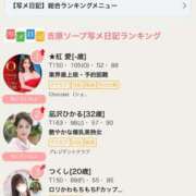 ヒメ日記 2025/04/14 13:15 投稿 凪沢ひかる プレジデントクラブ