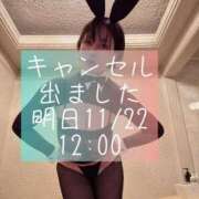 ヒメ日記 2025/11/21 10:30 投稿 凪沢ひかる プレジデントクラブ