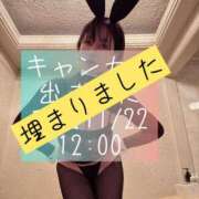 ヒメ日記 2025/11/21 14:21 投稿 凪沢ひかる プレジデントクラブ