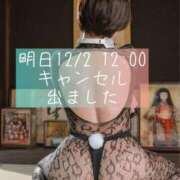 ヒメ日記 2025/12/01 11:58 投稿 凪沢ひかる プレジデントクラブ