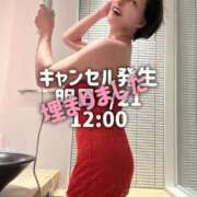 ヒメ日記 2026/03/20 16:30 投稿 凪沢ひかる プレジデントクラブ