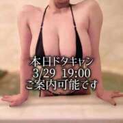 ヒメ日記 2026/03/29 12:19 投稿 凪沢ひかる プレジデントクラブ