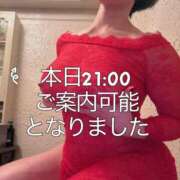 ヒメ日記 2026/04/15 11:59 投稿 凪沢ひかる プレジデントクラブ