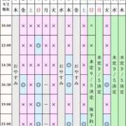 ヒメ日記 2026/09/02 07:57 投稿 凪沢ひかる プレジデントクラブ