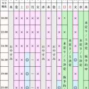 ヒメ日記 2026/09/02 21:24 投稿 凪沢ひかる プレジデントクラブ