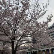 ヒメ日記 2026/03/31 00:36 投稿 ナミ ソープランドMAX‐マックス-