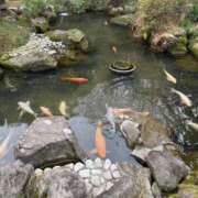 ナミ 🌟 ソープランドMAX‐マックス-