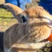 ヒメ日記 2026/03/26 12:37 投稿 ちか One More 奥様　西川口店