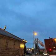 ヒメ日記 2025/05/16 15:53 投稿 さあや 花火-hanabi-(すすきの)