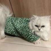 ヒメ日記 2024/12/28 16:25 投稿 あいり 萌えカワ