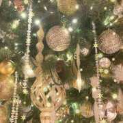 ヒメ日記 2024/12/24 20:49 投稿 るい 風鈴（ふうりん）