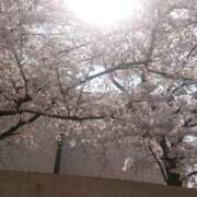 ヒメ日記 2025/04/05 15:38 投稿 るい 風鈴（ふうりん）