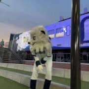 ヒメ日記 2025/04/09 19:32 投稿 るい 風鈴（ふうりん）