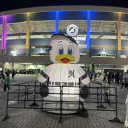 ヒメ日記 2025/05/08 21:27 投稿 るい 風鈴（ふうりん）