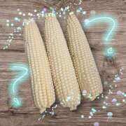 ヒメ日記 2025/07/17 17:01 投稿 るい 風鈴（ふうりん）