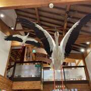 ヒメ日記 2025/09/29 15:24 投稿 るい 風鈴（ふうりん）