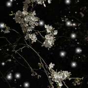 るい 雨だわ〜☔ 風鈴（ふうりん）