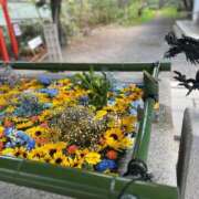 ヒメ日記 2025/05/19 17:53 投稿 こむぎ 上野デリヘル倶楽部
