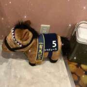 ヒメ日記 2024/12/27 18:58 投稿 らん チューリップ熊本店