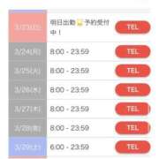 ヒメ日記 2025/03/06 16:01 投稿 らん チューリップ熊本店