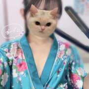 ヒメ日記 2025/05/18 11:57 投稿 れな いざ候 本館