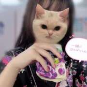 ヒメ日記 2025/06/01 15:07 投稿 れな いざ候 本館