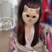 ヒメ日記 2025/06/09 17:28 投稿 れな いざ候 本館