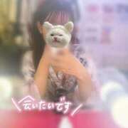 ヒメ日記 2025/11/10 23:27 投稿 れな いざ候 本館