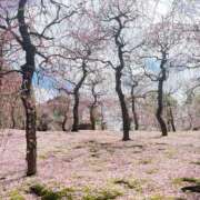 ヒメ日記 2026/03/04 17:57 投稿 れな いざ候 本館